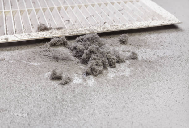 Best Professional Duct Cleaning Services  in Columbus Af, MS