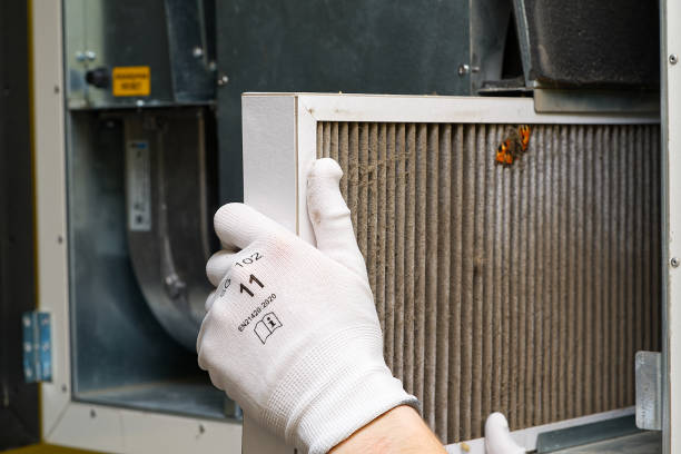 Best Affordable Duct Cleaning Services  in Columbus Af, MS