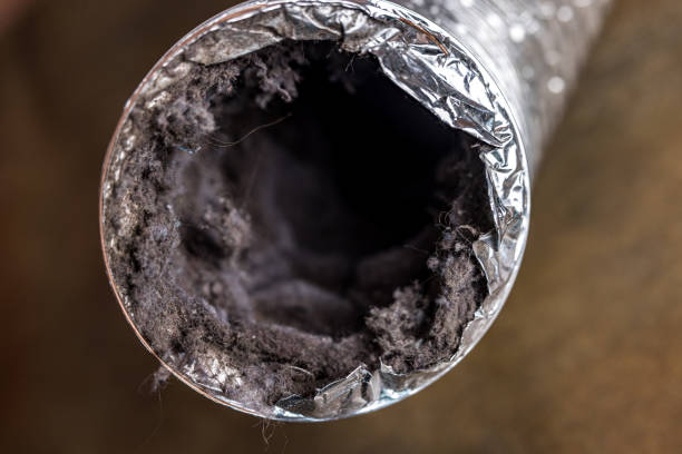 Best Commercial HVAC Duct Cleaning  in Columbus Af, MS