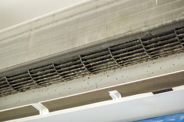 Best Home Air Vent Cleaning  in Columbus Af, MS
