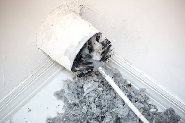 Best Air Duct Cleaning Company Near Me  in Columbus Af, MS